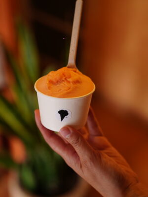 Sorbetes Artesanales (Base Agua)