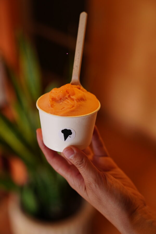 Sorbetes Artesanales (Base Agua)