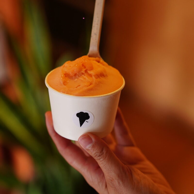 Sorbetes Artesanales (Base Agua)