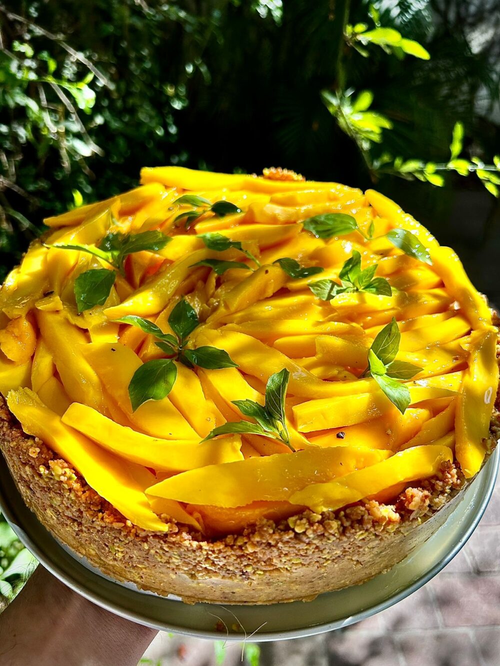 Cheesecake grande de mango